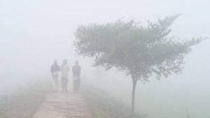 কতদিন থাকবে এমন কুয়াশা, জানালো আবহাওয়া অফিস