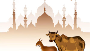 জানা গেল ঈদুল আজহার সম্ভাব্য তারিখ