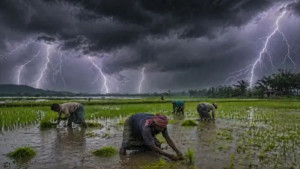 বজ্রপাতে তিন জেলায় চারজনের মৃত্যু