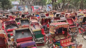 সৌরবিদ্যুৎ ছাড়া অটোরিকশায় চার্জ দিলে জরিমানা, করতে হবে নিবন্ধন