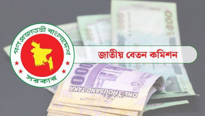 বেতন কমিশন নিয়ে কমিটি গঠন করল অন্তর্বর্তী সরকার
