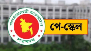 নতুন বেতন কাঠামোর চূড়ান্ত প্রতিবেদন জমা কাল, পূর্ণাঙ্গ বাস্তবায়ন জুলাই থেকে