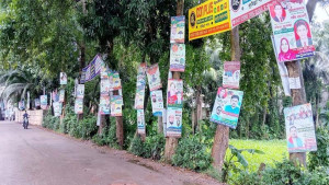গাছে পেরেক মারলে ২০ হাজার টাকা জরিমানা, অধ্যাদেশ জারি