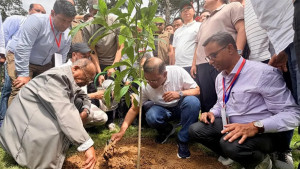 দেশব্যাপী ২৫ কোটি বৃক্ষরোপণ কর্মসূচির উদ্বোধন করলেন প্রধানমন্ত্রী