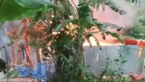 পাবনায় কিশোরী ধর্ষণ-হত্যার জেরে আসামিদের বাড়িতে আগুন, দগ্ধ হয়ে মৃত্যু ৩
