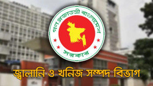 জ্বালানি তেল অবৈধ মজুতের তথ‍্য দিলে ১ লাখ টাকা পুরস্কার