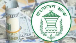 প্রবাসী আয়ে চাঙা দেশের রিজার্ভ