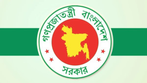 সাত মাসে বিদেশে সোয়া চার লাখের বেশি কর্মী পাঠিয়েছে বাংলাদেশ, বেড়েছে প্রবাসী আয়