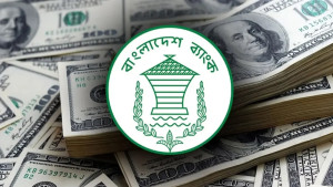 দেশের রিজার্ভ বেড়ে ৩৬ দশমিক ১৫ বিলিয়ন ডলার