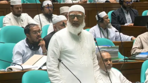 জ্বালানি সমস্যা এ সরকারের সৃষ্টি নয়: ডা. শফিকুর রহমান